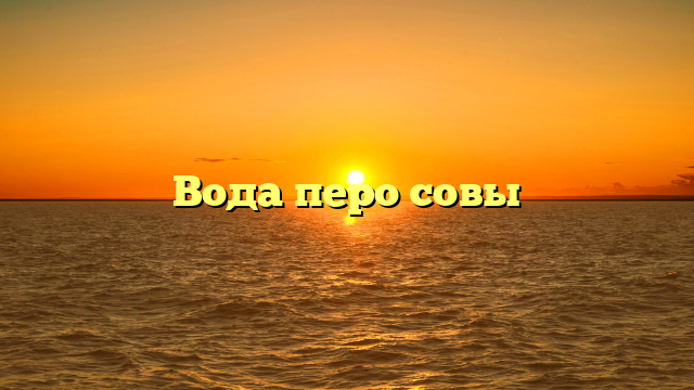 Вода перо совы